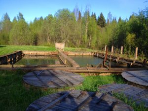 Обследование существующей централизованной системы водоотведения в деревне Коськово